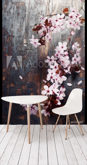 Image de Spring Cherry blossoms